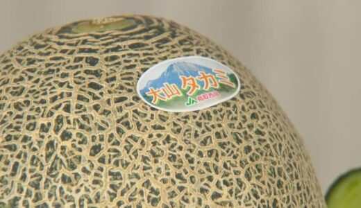 贈って喜ばれ贈られてうれしい　夏の味覚　大山メロン