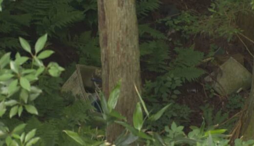結局、回収には税金使用　鳥取県江府町で不法投棄防止パトロール