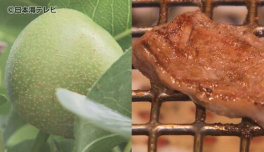 7月4日は「梨の日」　樹齢100年を超える樹の前で豊作願う　焼き肉店では