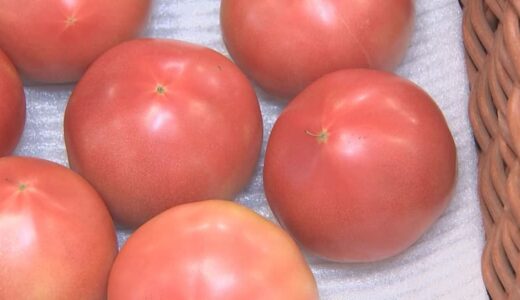 野菜が安い「トマト」は例年の半値　「キャベツ」も価格が急落…なぜ？　お手頃野菜で猛暑を乗り切れ