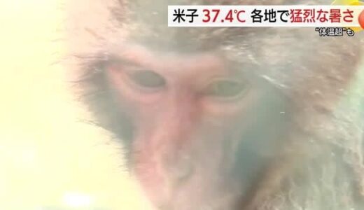 米子市で最高気温37.4℃…梅雨明け前なのに体温超えの猛烈暑さ　蒸し蒸し天気で「ハワイより暑い…」