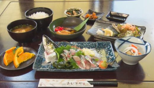 岩美の新名物「さばみちゃん」。刺身でも味わえる陸上養殖サバを一匹丸ごと味わう贅沢定食！｜鳥取県岩美町