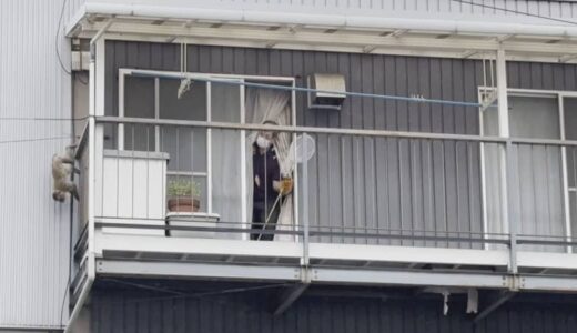 駅前中心市街地にサル出没　大捕物に密着　捕獲してビックリ…公園を脱走したサルだった