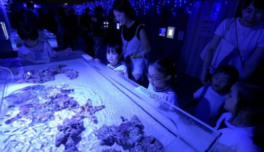 水生生物　ファンタジー　きょう開幕　サマーアクアリウム～あそべる光の水族館