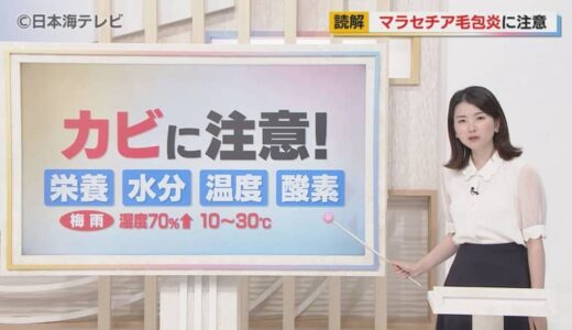 【読み解く】気温の高い梅雨に注意！　普通のニキビと区別が難しい“カビ”が原因で発症する「マラセチア毛包炎」とは？