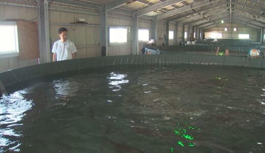 魚離れの中…「魚の陸上養殖」増加、なぜ？　事業者数は10年で倍以上に増加