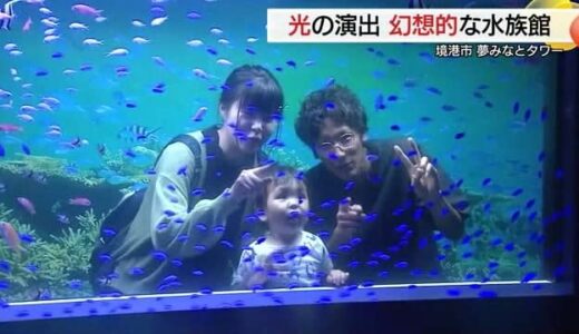 クマノミやウミガメなど悠々と…水辺の生き物をイルミ演出で幻想的に展示　多くの家族連れ来場（境港市）