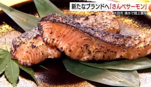 「さんべサーモン」て何？からスタート　名峰・三瓶山の湧き水で陸上養殖　島根の新たなブランド食材に