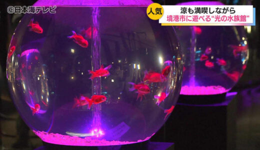 「楽しい、お魚好き」 70種類の魚や水の生き物が幻想的な光とともに展示　移動水族館「あそべる光の水族館」が連日家族連れで盛況　鳥取県境港市