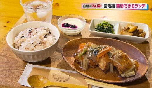 子連れに優しいカフェでいただく菌活ランチ！体に嬉しい発酵食品や地元野菜がたっぷり！｜鳥取県倉吉市