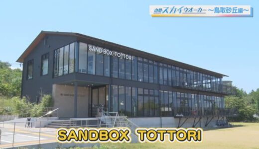 鳥取砂丘近くにあるカフェでランチ！夏野菜たっぷりカレーにパクチーが盛り放題！｜鳥取市