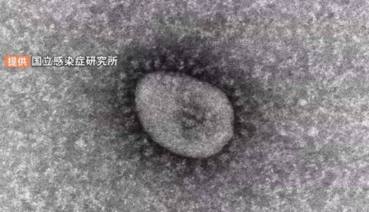 鳥取県で前の週から「倍増」　新型コロナ止まらぬ感染拡大　新変異株「KP.3」が感染の主体に