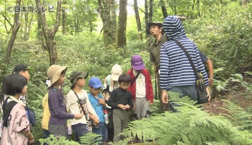 自然を通して県を超えた交流　地元の児童と岡山県の児童が奥大山自然塾のプログラム「緑の教室」を体験　鳥取県江府町