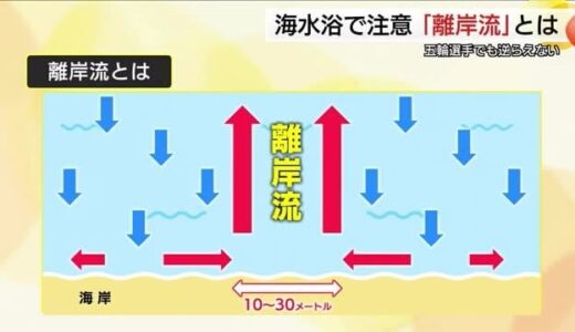 「流れに逆らって戻ろうとしない」危険な離岸流の対処法　「海水浴場」で安全な遊泳を