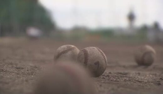 夏の高校野球　３０日に愛媛大会終了し代表校４９校決まる　中国地方の代表校は【岡山】
