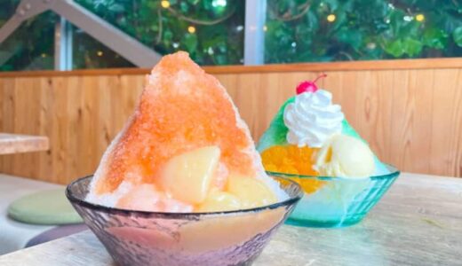 レトロ可愛いメロンソーダ風かき氷や桃たっぷりのかき氷も！イラストレーターの店長さんが手掛ける癒しカフェ｜鳥取県米子市