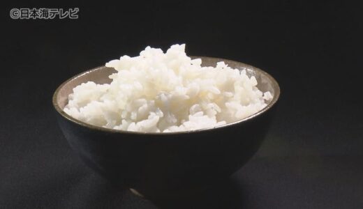 全国的なコメ不足　コメの取引価格は右肩上がり　玄米は11年ぶりの高値に　秋まで高値が続く可能性も