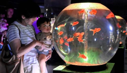 光の演出うっとり　帰省客らでにぎわう　サマーアクアリウム～あそべる光の水族館
