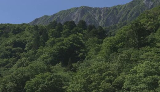 大山登山中に両足けいれん…動けなくなり自ら救助要請　広島から来た50代男性が遭難　救助隊が徒手搬送で下山