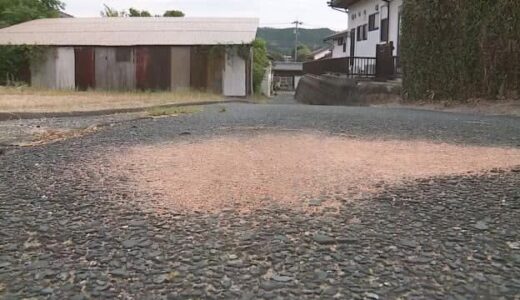 自転車で転倒か…88歳高齢女性が意識不明の重体　県道で倒れているのが見つかり病院搬送（鳥取・北栄町）