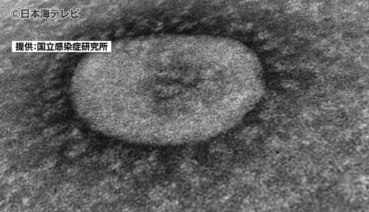 山陰両県でも新型コロナウイルスの感染拡大　各地点ごとの感染者数の傾向は？　去年も夏休み明けの時期に同様の傾向　鳥取県・島根県