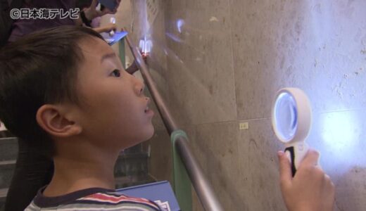 館内の壁に化石！？　アンモナイトやサンゴなどの化石を見つけるイベント　鳥取県鳥取市