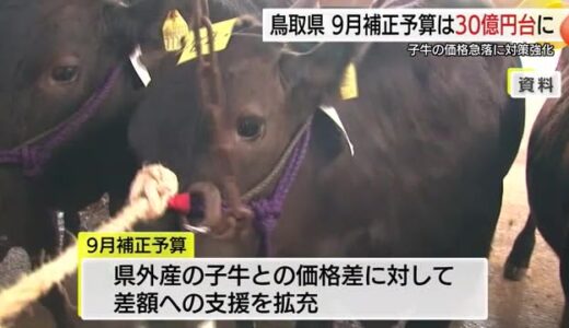 「種牛に新しいヒーローを」鳥取産子牛の価格アップへ1億円の対策強化費　鳥取県議会9月補正予算案に