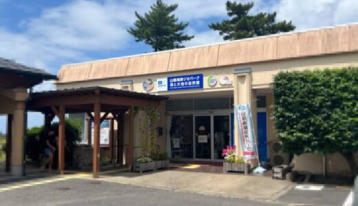 巨大イカ・ダイオウイカの標本も！海沿いにある子どもと一緒のおでかけにもおすすめの博物館「海と大地の自然館」｜鳥取県岩美町