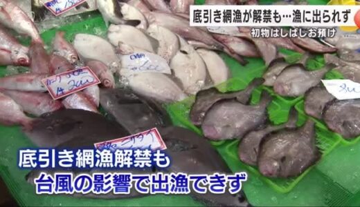台風の影響で石川県民が首を長くして待っている”底引きの魚”が2度も延期に