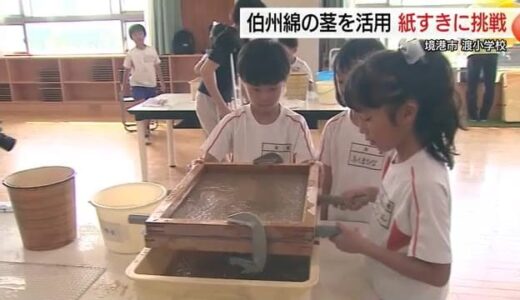 境港市特産の伯州綿の魅力知って！小学生が「茎」を有効活用した紙すきを体験（鳥取）