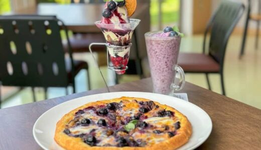 ブルーベリー農園直営カフェでブルーベリーを味わい尽くす！大山のふもとで優雅なカフェタイム｜鳥取県江府町