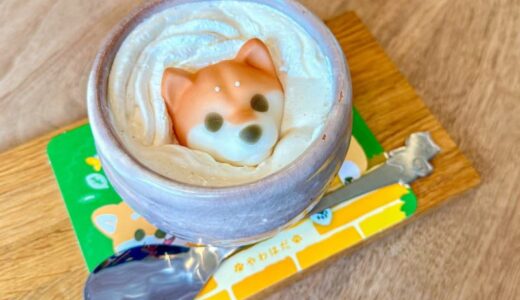 【新店】カップに柴犬が浮かぶ「しばオレ」が可愛すぎ！愛犬と楽しむこともできるドッグカフェがオープン｜鳥取市