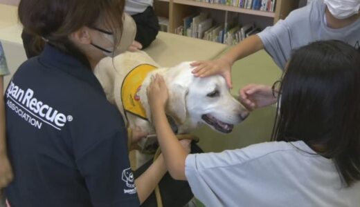 小児科診察室にワンちゃんがやってきた「セラピードッグ」が寄り添い子どもたちの心和らげる…注射で大泣き→セラピードッグを見て泣き止む子も