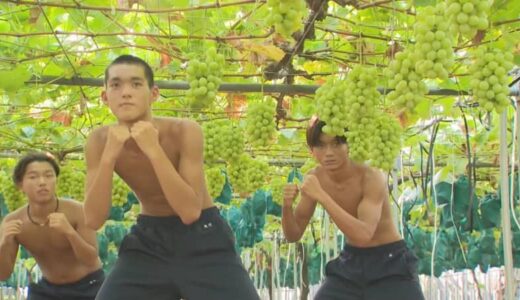上半身裸の屈強な高校生たち…畑の次は農園で筋トレ「農業×筋トレ」で地域の魅力を発信　特産・シャインマスカット農園で…「上腕二頭筋にきました」