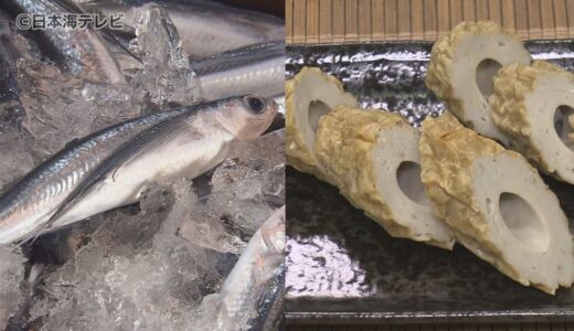 全国的なトビウオの不漁　山陰地方の名産品「あごちくわ」が危機　「直売店でも9月くらいで販売をお休みせざるを得ない状況」　直近15年でも減少傾向　原因は調査中