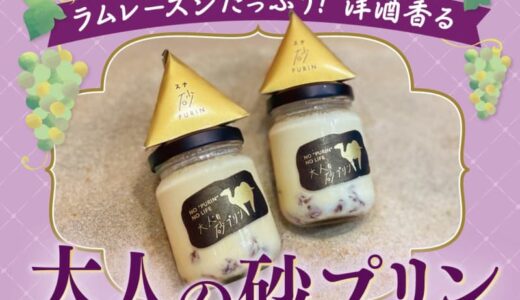 【コラボ商品】鳥取砂丘の名物に新登場。洋酒香る「大人の砂プリン」。ラムレーズンとシナモンの相性抜群【na-na×TottoPURIN】