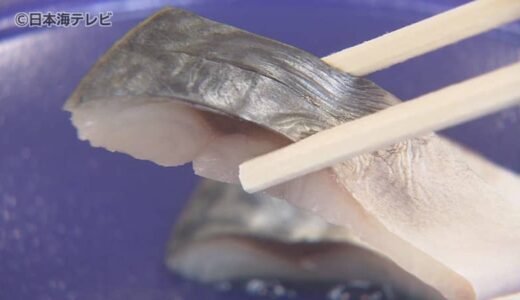 「食べた後でもずっとおいしさを感じられる」　ブランドサバ「さばみちゃん」を使った新商品「岩美のサバさし」　鳥取県岩美町