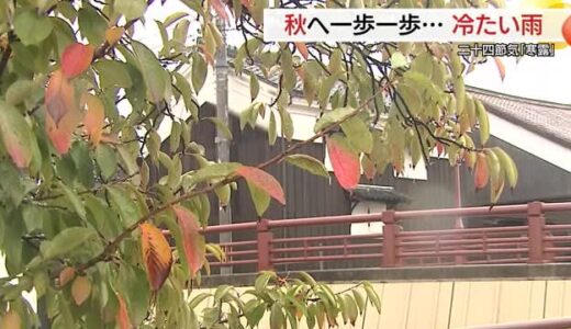 二十四節気「寒露」山陰地方に秋の深まり進める雨…米子や松江などで10月下旬並の肌寒さ