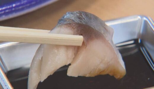 刺身OK「さばみちゃん」　地下海水で養殖　街の特産品として販売