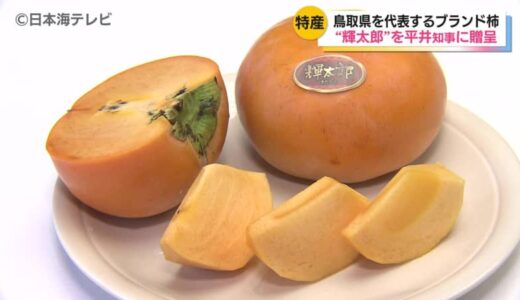 一玉3万円　鳥取県を代表するブランド柿「輝太郎」　平均糖度・玉太りはこの10年で過去最高に　生産者の代表などが鳥取県・平井知事に「輝太郎」の贈呈と販売状況の報告