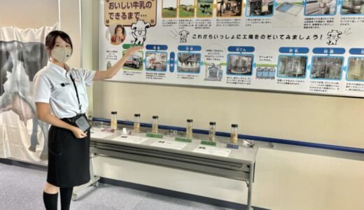 鳥取県民が愛してやまない「白バラ牛乳」の工場見学！無料で参加でき、おいしさの秘密を楽しく学べる｜鳥取県琴浦町