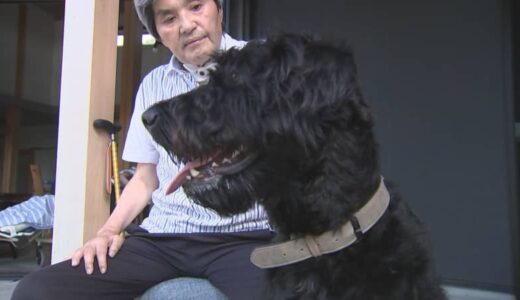 難病抱えコロナに感染、気管切開…「元気もらって、生きないけんなと思う」　心の支えになった「セラピードッグ」とは？