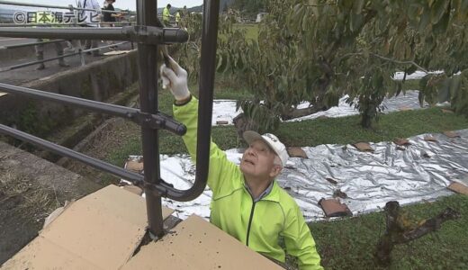 なぜ？ガードパイプを焦げ茶色に塗装⁉　地域住民や行政などが参加した色塗りワークショップ　美しい自然に溶け込む「八頭ブラウン」　鳥取県八頭町