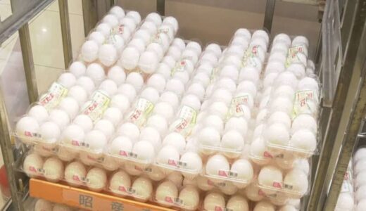 たまご価格さらに「高騰」のおそれ　鳥インフルエンザ発生…ニワトリ殺処分相次ぐ　「月見バーガー」「インバウンド」需要ですでに品薄状態
