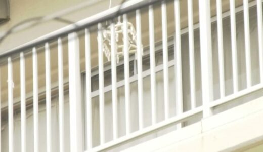 「祖母を刺した」無職の孫を逮捕　祖母の胸を包丁で突き刺し殺害しようとした疑い…2人に何が？