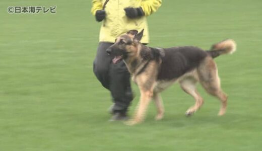 「少しでも社会貢献というかお役に立てれば」　嘱託警察犬の審査会　警察犬の数が減少し確保に課題も　鳥取県鳥取市