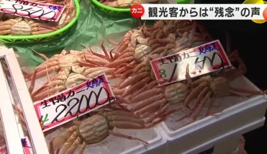 解禁日に合わせ金沢へ…ズワイガニ目当ての観光客から落胆の声 時化の影響で漁に出られず9日初売り予定