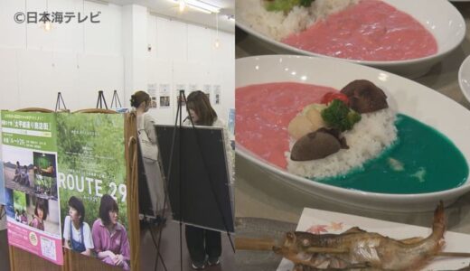 綾瀬はるかさん主演の映画「ルート29」公開　撮影の裏側を知ることができるパネル展や応援グルメが登場　鳥取県・東京都