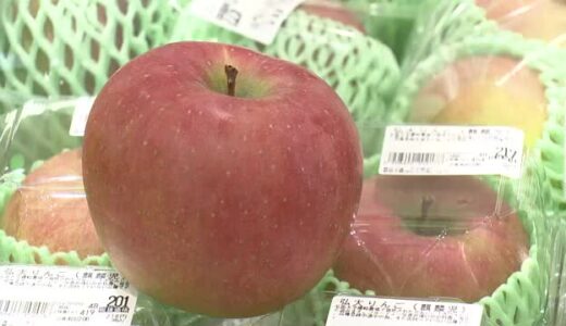 静岡大と弘前大が共同研究した新種のリンゴ…その名も”麒麟児”　500グラム以上と大型ながら濃厚な甘さ