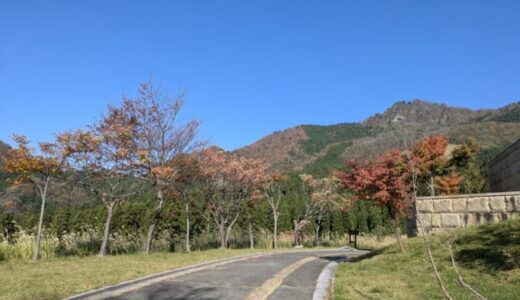 ［氷ノ山自然ふれあい館 響の森］秋の氷ノ山で遊ぼう！日本初開催の自然観察日記「ネイチャージャーナル」に行ってきました！｜若桜町